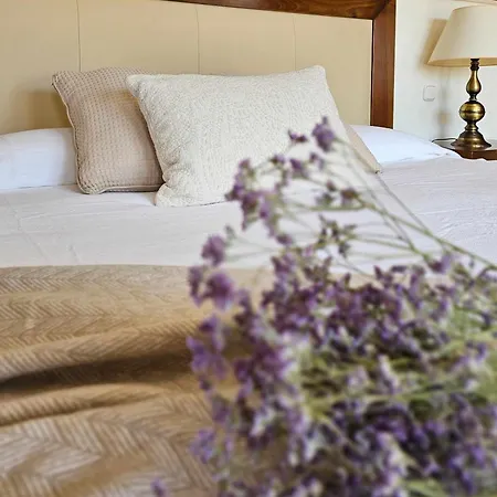 Heal Cerca Puerto Banus Villa